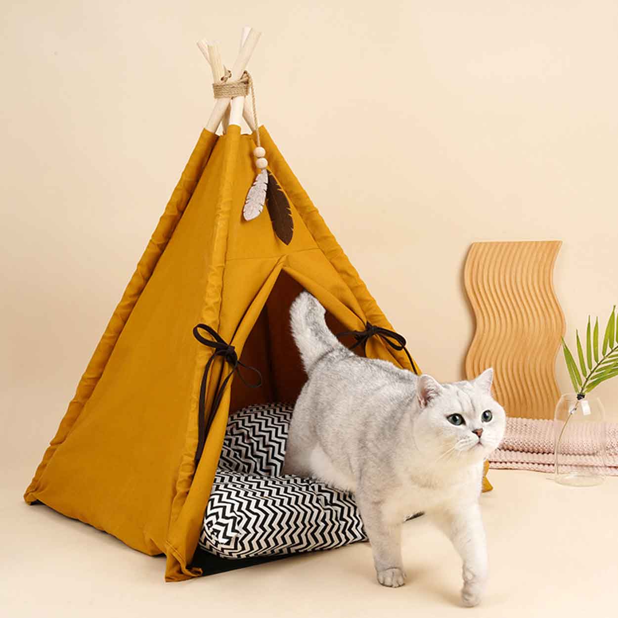 Camas para gato