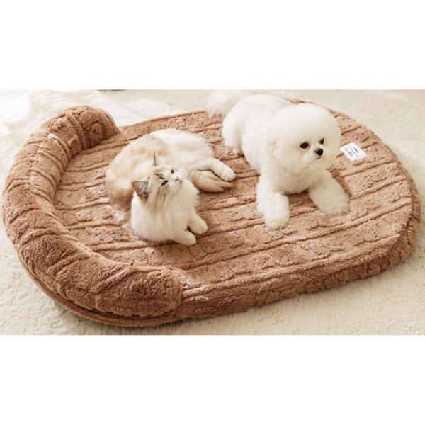 Cama Kiwi