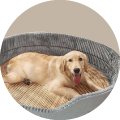 Cama para perro