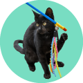 Juguete para gato