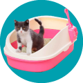 Areneros para gato